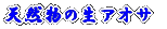 ��ߔe�{�Y 